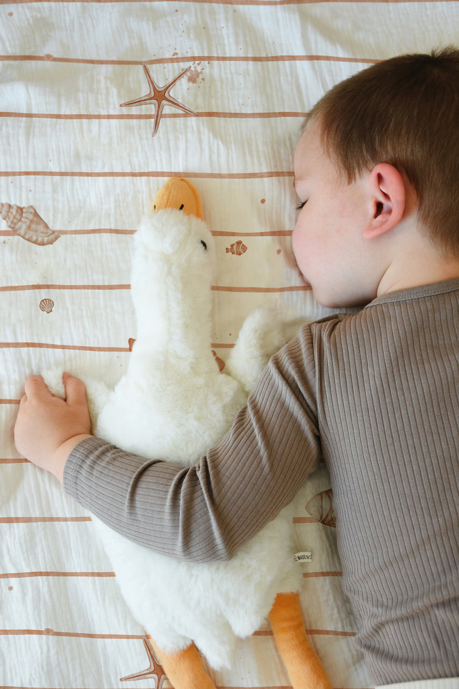 LESLIS Kinderbettwäsche „Kleine Seesterne" – Junge im Kinderbett mit Seestern-Motiv