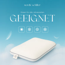 Pro Visco Klassisches Kissen 60 x 40 cm für ganzjährige Nutzung im Schlafzimmer