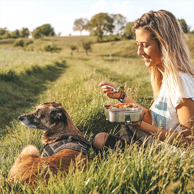 Große Edelstahl Lunchbox Classic XL für moderne Küchenaufbewahrung und Snacks