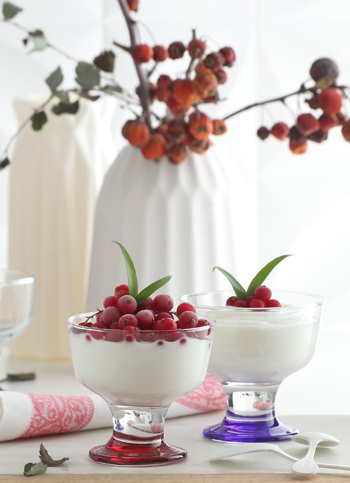 HELDENA Destina 285 ml – Eisbecher mit buntem Fuß