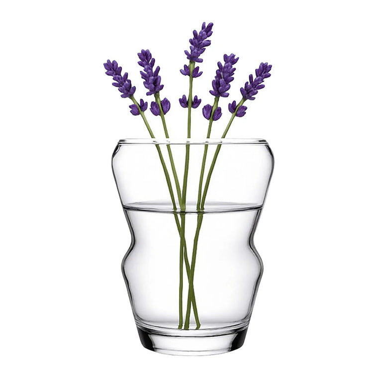 Pasabahce Crystallin Glasvase 20 cm transparent für Blumen