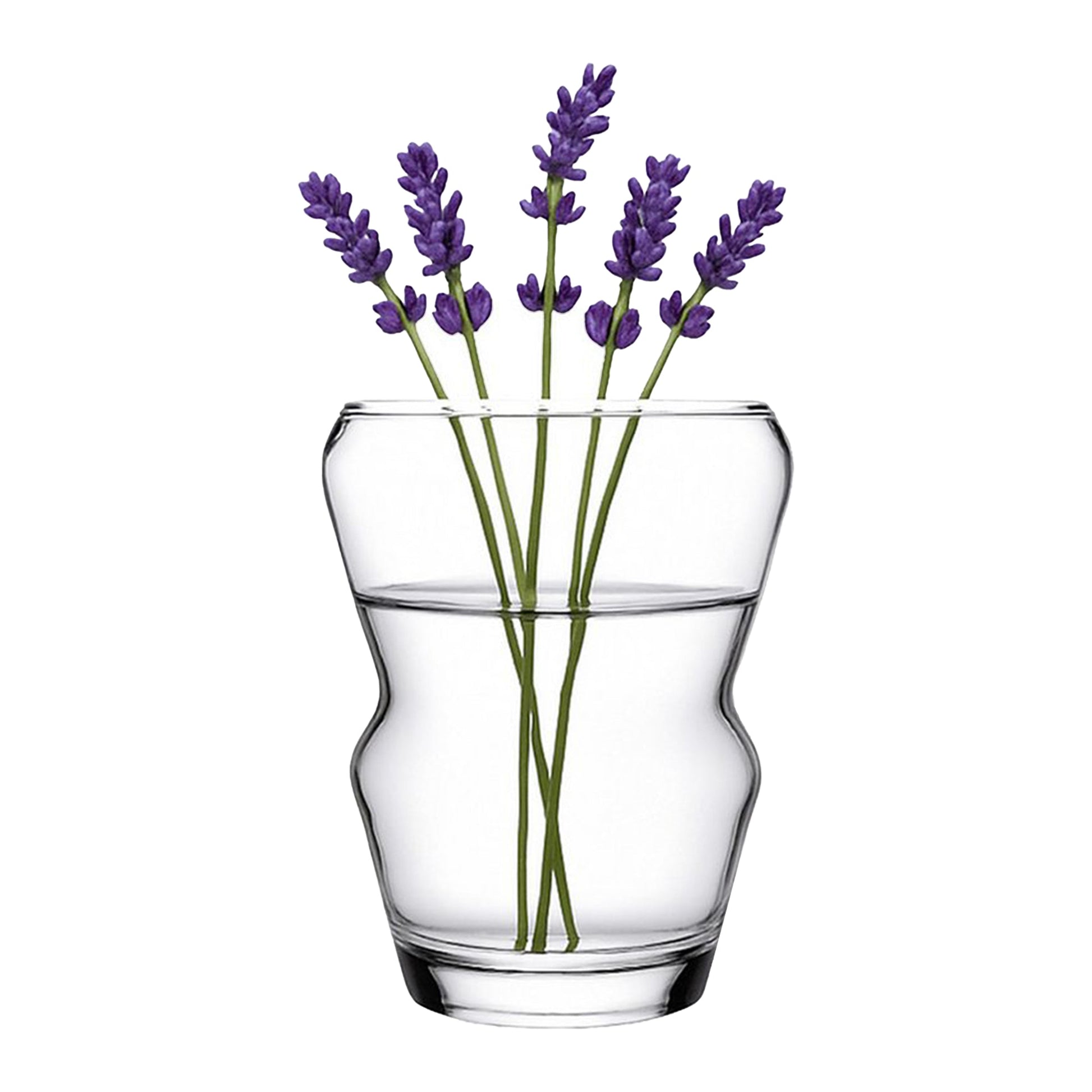 Pasabahce Crystallin Vase 20 cm Höhe als eleganter Blickfang