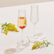 Focus Champagnergläser 6er Set klar für Prosecco Sekt und Gäste