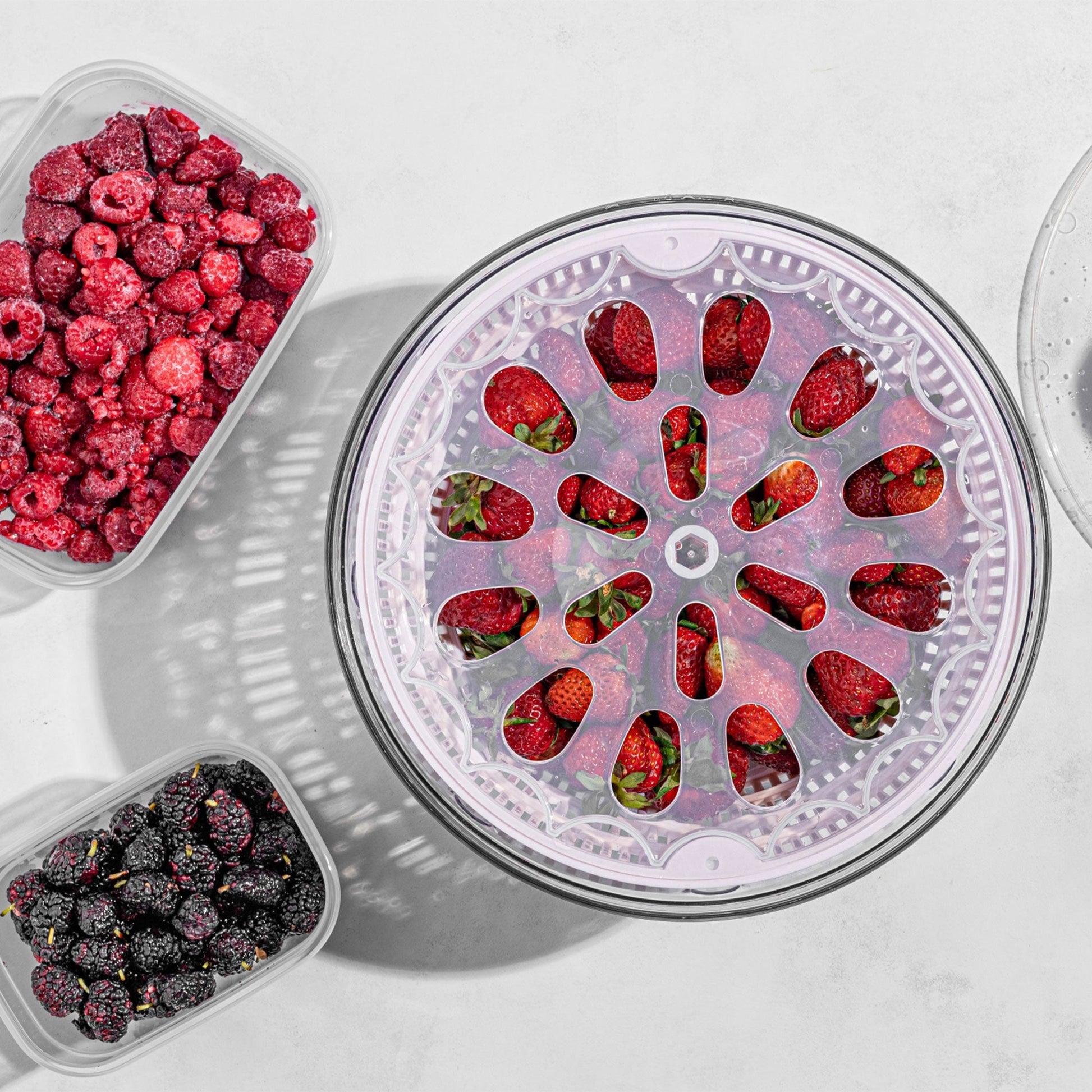 Salatschleuder 5 L mit Siebeinsatz für frische Salate